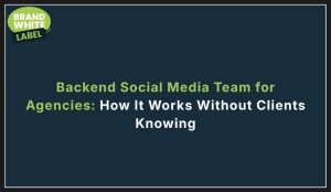 backend social media team for agencies