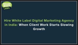 hire white label digital marketing agency in india