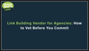 link building vendor for agencies