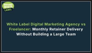 white label digital marketing agency vs freelancer